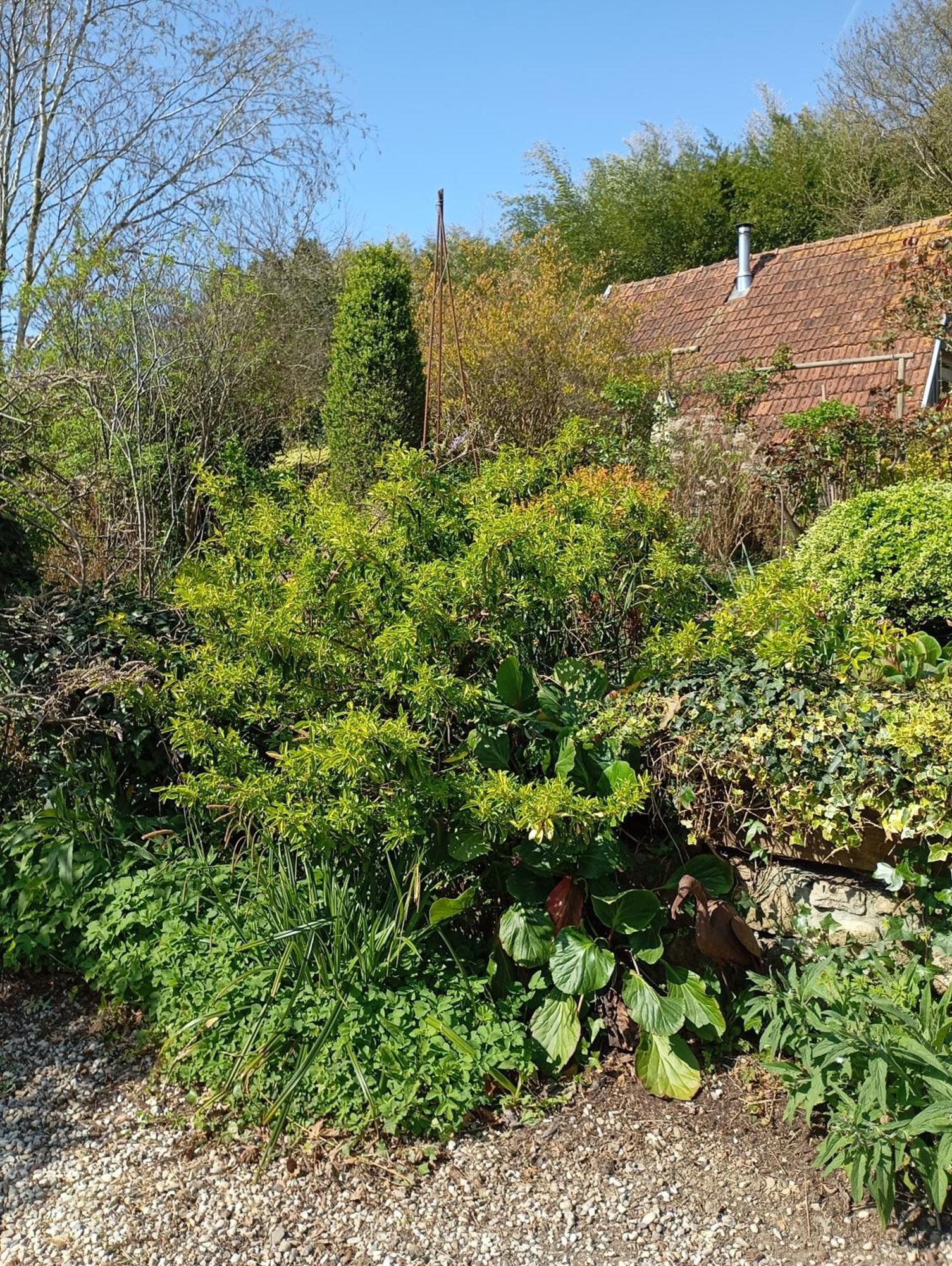 La Chartrie Sartilly-Baie-Bocage Exterior foto